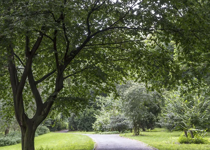 Hotel Big Mama Berlino